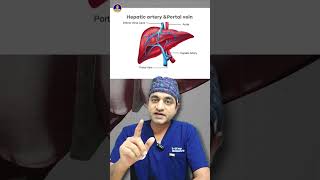 Liver Cancer में ही TACE क्यों किया जाता है  Liver Treatment in Delhi [upl. by Tillman]