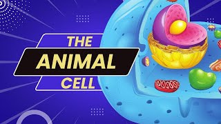 What are some parts of the animal cell  Teaching Oasis [upl. by Ayatnwahs103]