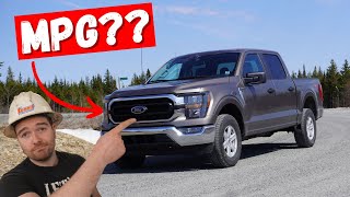 Ford F150 50L Coyote V8  Real World MPG and ACCELERATION Heavy Mechanic Review [upl. by Nolad144]