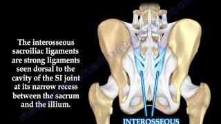 Sacroiliac Joint Dysfunction Anatomy Animation  Everything You Need To Know  Dr Nabil Ebraheim [upl. by Bevus681]