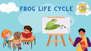 Frog Lifecycle [upl. by Mariejeanne]