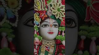 05112024the divine shringar darshan of shri krishna balram iskcon from jaipur ❤️ Hare Krishna ❤️ [upl. by Eilegna]