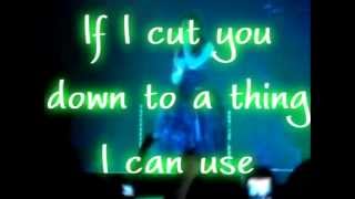 Evanescence Lose control lyrics [upl. by Niloc]