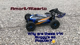 Why Are These 114 RC Buggy’s So Popular🤔  AmorilRlaarlo 114 Scale Rc Buggy [upl. by Lalla]