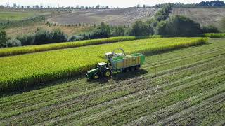 🥇 Trabajo de ensilado de maíz en terreno  Marcos Otero 🚜 marcosoteroes [upl. by Selij]