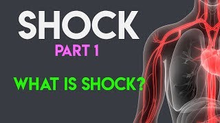 What Is Shock  Shock Pathophysiology  Shock Part 1 [upl. by Benedikt544]