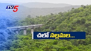 Ecotourism In Nallamala Forest  Kurnool  TV5 News [upl. by Loren348]