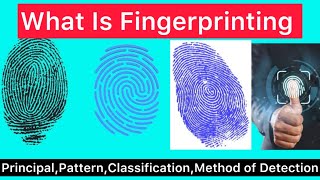 Fingerprinting  What is Fingerprinting  Fingerprinting Principal Pattern Classification amp Method [upl. by Albers]