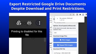 How to download View Only PDF files from Google Drive with Chrome Extension [upl. by Adnilreb]