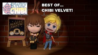 Best of RWBY Chibi Velvet [upl. by Averir]