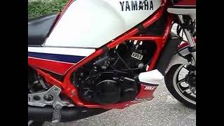 YAMAHA RD350 YPVS [upl. by Adnilram]