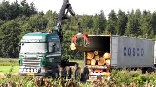 LOADING TREE TRUNKS IN COSCO CONTAINER WOW [upl. by Giltzow]