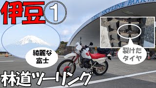 2号機DT200Rにはタイヤレバーが突き破った穴開きのツーリストを履かせています。とうとうその裂けツーリストとおさらばします。伊豆の林道でサヨナラツーリングです。鳥居の林道 腓骨坂 TR011 [upl. by Drusy796]