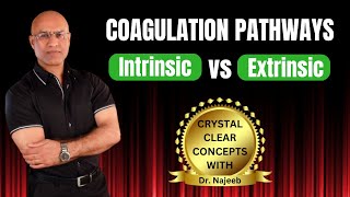 Intrinsic and Extrinsic Pathway of Coagulation  Hematology👨‍⚕️ [upl. by Adnilem]