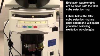 Basics of Fluorescence Microscopy [upl. by Frere8]