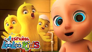 🐤🐥Los Pollitos Dicen Pio Pio  Conejitos dormilones  Canciones Infantiles para niños  LooLoo [upl. by Vadim169]