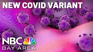 UCSF infectious disease specialist explains new COVID variants [upl. by Augusto355]