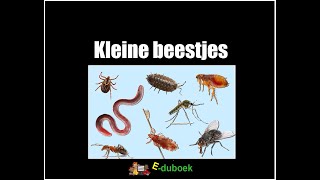 Kleine beestjes inkijkexemplaar groep 34 [upl. by Franza]