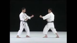 Shisochin  Kata amp Bunkai  Shito Ryu Karate [upl. by Goldsmith]