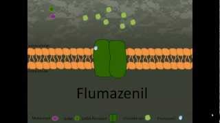 Flumazenil [upl. by Hussey931]