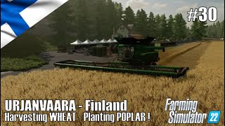 Harvesting WHEAT  Planting POPLAR  30 URJANVAARA  Finland  FS22  PlayStation 5 [upl. by Ramirol621]