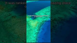 5 facts about most amazing place on earth Blue Hole Belize shorts adventure explore travel [upl. by Lenrad865]