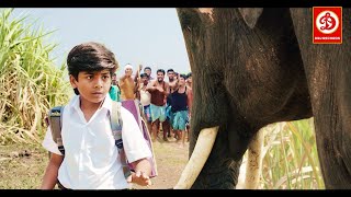 Rajabheema HD New Blockbuster Full Hindi Dubbed Action Movie  Arav Ashima Narwal Yashika [upl. by Anaicilef]