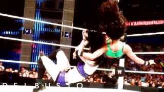 Wrestling Edits Paige vs AJ Lee promo SummerSlam [upl. by Ejroj]