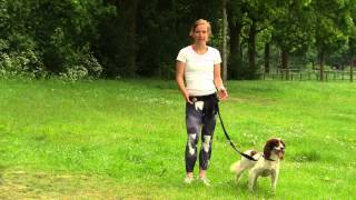 Hardlopen met je hond [upl. by Kalbli]