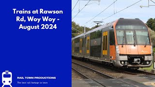 Trains at Rawson Rd Woy Woy  August 2024 [upl. by Noorah]