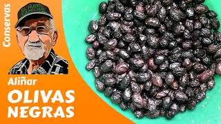 Aceitunas Negras Aliñadas Secas en tan solo7 días🫒🏺 كيفية مختلفة لترقيد زيتون الأسود في 7 ايام فقط [upl. by Adnilreb685]