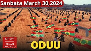 ODUU AFAAN OROMOO  Sanbata March 302024  Oromo News  Daily Ethiopia news today OLA WBO [upl. by Nnairek]