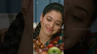 100 Love Movie Scenes  nagachaitanya tamannaah dharmavarapusubramanyam  comedyshorts shorts [upl. by Elesig]