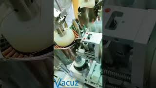 Two Stations Hub Motor Automatic BLDC Brushless Stator Coil Flying Fork Winding Machine Equipment [upl. by Narak349]