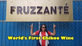 Worlds First Chikoo Winery  Fruzzante Winery  Wine made from fruits [upl. by Seuqram]