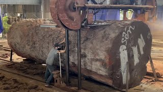 Amazing Woodworking Factory  Extreme Wood Cutting Sawmill Machines Cheesy Wood Giant 1000 Year Old [upl. by Shutz]