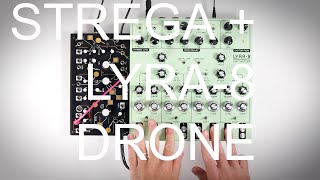 Make Noise Strega  Soma Lyra8 drone [upl. by Akiemahs]