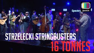 Strzelecki Stringbusters  16 Tonnes November 2017 [upl. by Pallaton]