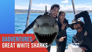 DadVentures Great White Shark Experience in South Africa [upl. by Marietta]