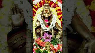 சாமி பொன் ஐயப்பா சரணம் பொன் ஐயப்பா  Ayyappan Songs Collection  Ayyappan Songs  Devotional [upl. by Yemane]