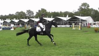 winner boekelo 2011 [upl. by Zerline528]