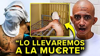 El ESCALOFRIANTE Video De Los Traidores De El Viejo Lin [upl. by Rumpf]