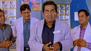 Brahmanandam Super Comedy Scenes  Preyasi Raave Movie  Funtastic Comedy [upl. by Hinckley]