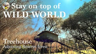 Thrilling Treehouse stay in Tiger reserve  Secret Ivory Resort Masinagudi mudumalai tiger reserve [upl. by Bennir]