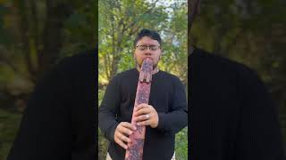 Divine Feminine Native American Flute Key of F Hijaz 440hz [upl. by Mauer]