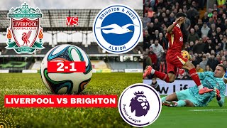 Liverpool vs Brighton 21 Live Stream Premier League Football EPL Match Score 2024 Highlights Vivo [upl. by Anayik]