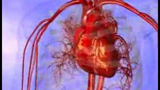 Medical animation of a heart [upl. by Nara]