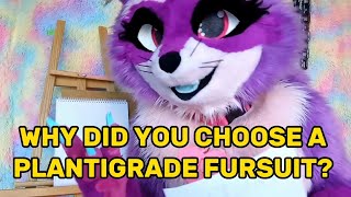 why choose a plantigrade fursuit over a digitigrade [upl. by Negah]