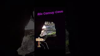 Rio Camuy Cave Park Puerto Rico 🇵🇷 is incredible Augie B took amazing shotsbirding Video soon [upl. by Avrit]