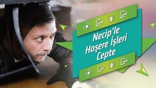 Kuveyt Türk – Necip’le Haşere İşleri Cepte [upl. by Artim]